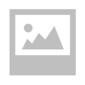 Chemicals & Adhesives